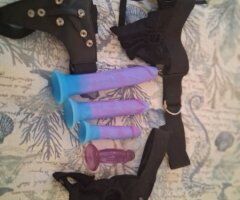 Tampa escorts - Tampa Female Escort — Incalls in a Private Largo Location