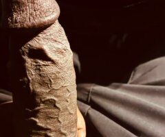 West Palm Beach escorts - Women Only — Verification Required (No Low Ballers)