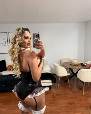 Independent DM Me 24/7 — Bridgeport Female Escort - 1