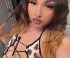 Green-Eyed Latina Escort — In-Call & Outcall in San Fernando Valley - Image 4