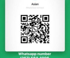 Asian Young Female Escort — Full-Body Massage, Pics & Special Videos - Image 3