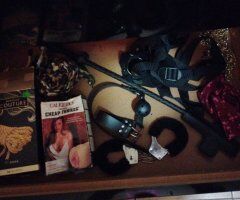 Fort Myers Brazilian Female Escort — Fetish Service & Toy Collection - Image 3