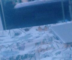 2 Girl Special — BBW Young Latina Escorts (Inland Empire) - Image 2