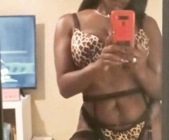 New Orleans Female Escort — Jamie (QV $100, HHR $150, FHR $200) • No text messages - Image 3