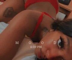 Cincinnati Incalls Full Service Escort (No Budget Prices) - Image 4