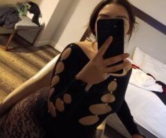 Angel — Incall, Outcall & Car Date (No Bare) - Image 4