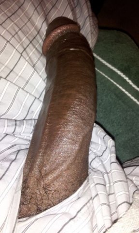 St. Louis Male Escort — DL Verse Daddy Dick (8.5 inch) for incalls & outcalls - 1