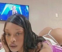 Los Angeles Female Escort — 24/7 Incall, Tight Grip Exotic Playmate - Image 8