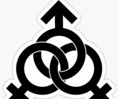 Los Angeles Male Escort — energy-matched connection with respect - Image 3