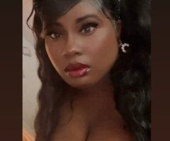 Houston escorts - Houston Big Booty Small Waist Female Escort — In-Call & Outcall (Video Verify)