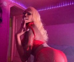 Syracuse Female Escort — Cataleya (Colombian/Cuban) 24 - Image 7