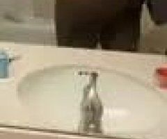 Biloxi escorts - Biloxi Thick & Juicy Chocolate (28) — Outcalls Only
