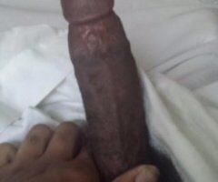 Biloxi escorts - Biloxi Male Escort at Hard Rock Casino — Jacking Off (Host Only)