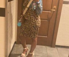 Ms Dream Is Here — Indianapolis Female Escort (Rates per Qv, Hhr, Hr) - Image 8
