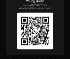 Charleston Asian Escort — custom sexy content, blowjobs & anal - Image 5