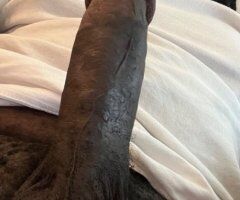Houston escorts - Houston Male Escort — Back Blown Out or Throat Fucked Specials Tonight