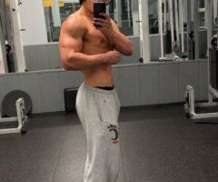 Toledo escorts - Young Bull Male Escort in Toledo, Ohio