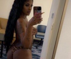 Caribbean Cat — Facetime Shows & Content, In/Outcall - Image 3