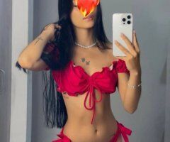 Tampa escorts - Latina InCall — New in Tampa, Florida (Love Dog Style) — 25