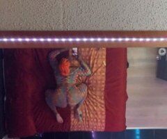 South Jersey Independent Female Escort — Incall & Outcall (No drama) - Image 10