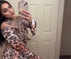 San Jose Female Escort — Facetime Verification & Incall/Outcall - Image 2