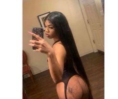Trans Female Escort (Incall/Outcall) — West Detroit - Image 2