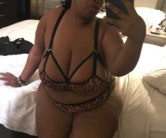 North Bay, CA Incalls + Outcalls + Car Dates — Now Booking - Image 7