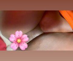 North Bay CA Escort — In-Calls & Outcalls (Doggy Styles) — 28 - Image 3