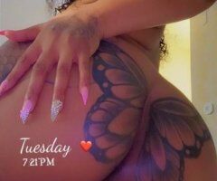Curvy Caramel Treat — Sweet, Sexy & Discreet (28) in Greenville - Image 3
