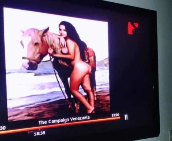 Venezuelan Adult Film Actress (40) in Washington, D.C. - 1