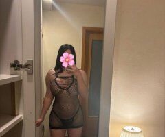 Sarasota/Bradenton escorts - Nueva en Sarasota/Bradenton: trato de novios, solo textos