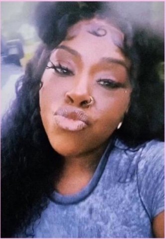 Cinnamon — Dominican 33 companion in Lake Charles - 1