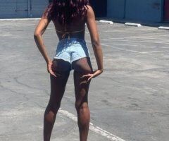 Desire in Raleigh-Durham — Petite Waits Curves Female Escort, In/Out Calls - Image 6