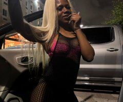 Miami Full Service Female Escort — Butt Plug w/ Me (19) - Image 2