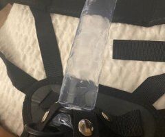 Queen Alexis — Baltimore BBW Female Escort (Incall) for Pegging & Fetishes - Image 8