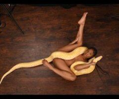 Discreet Incall: BBJ, QV, HHR, HR + GFE Extra (Special) - Image 2