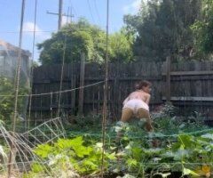 Louisville KY Female Escort — Car + Outcall, BBJ/Bare, BDSM Sessions - Image 3