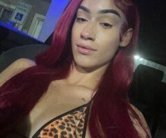 Lexi — Colorado Springs Exotic Babe for Discreet Time Together - Image 2
