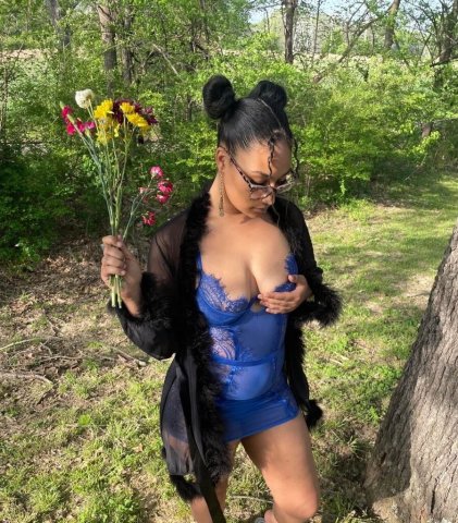 Mobile Exotica — New in Town - 1