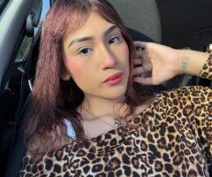 Mcallen Female Escort — Small, skinny & face-card ready - Image 2