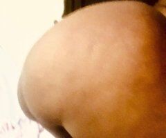 Miami Female Escort — Backdoor, BJ, HJ (Cash/App/Zelle) - Image 4