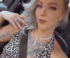 Diamond Marie — Incall Only Tampa Escort (Largo private residence) - Image 12