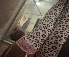 Sarasota/Bradenton Incall Specials — Black, Hispanic Mixed Model (Top Tier) - Image 12