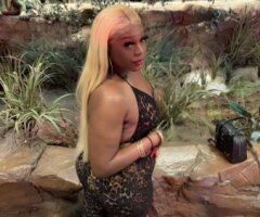 Transgender Goddess — Oral Goddess, Incalls Only in Worcester, MA - Image 7