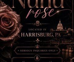 Nunu — High Class Female Escort (Nuru Massage, Content & Live Shows) Near Harrisburg - Image 3