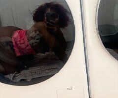 Amarillo escorts - Amarillo Texas Cum Facial & Backshots — Cardates