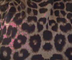 Brockton Female Escort — BBQW services & high quality intimate sessions - Image 3