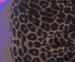 Brockton Female Escort — BBQW services & high quality intimate sessions - Image 8