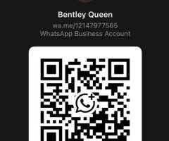Bentley Queen — Charlotte NC Female Escort (Incall, Outcall) - Image 5