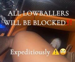 Fort Lauderdale Female Escort — Weekend Incall BJ, BBJ, Throat Service - Image 5